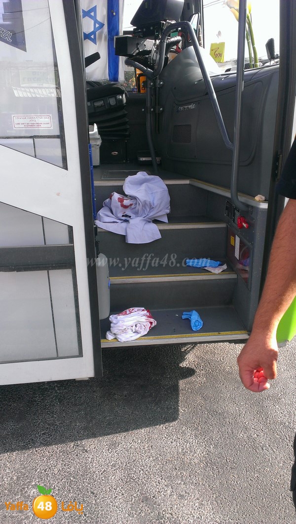 ta3neyaafafa (2).jpg